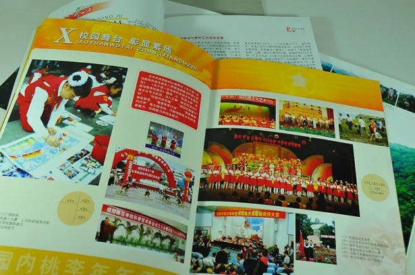 编辑、印刷共青团绵阳市委宣传画册