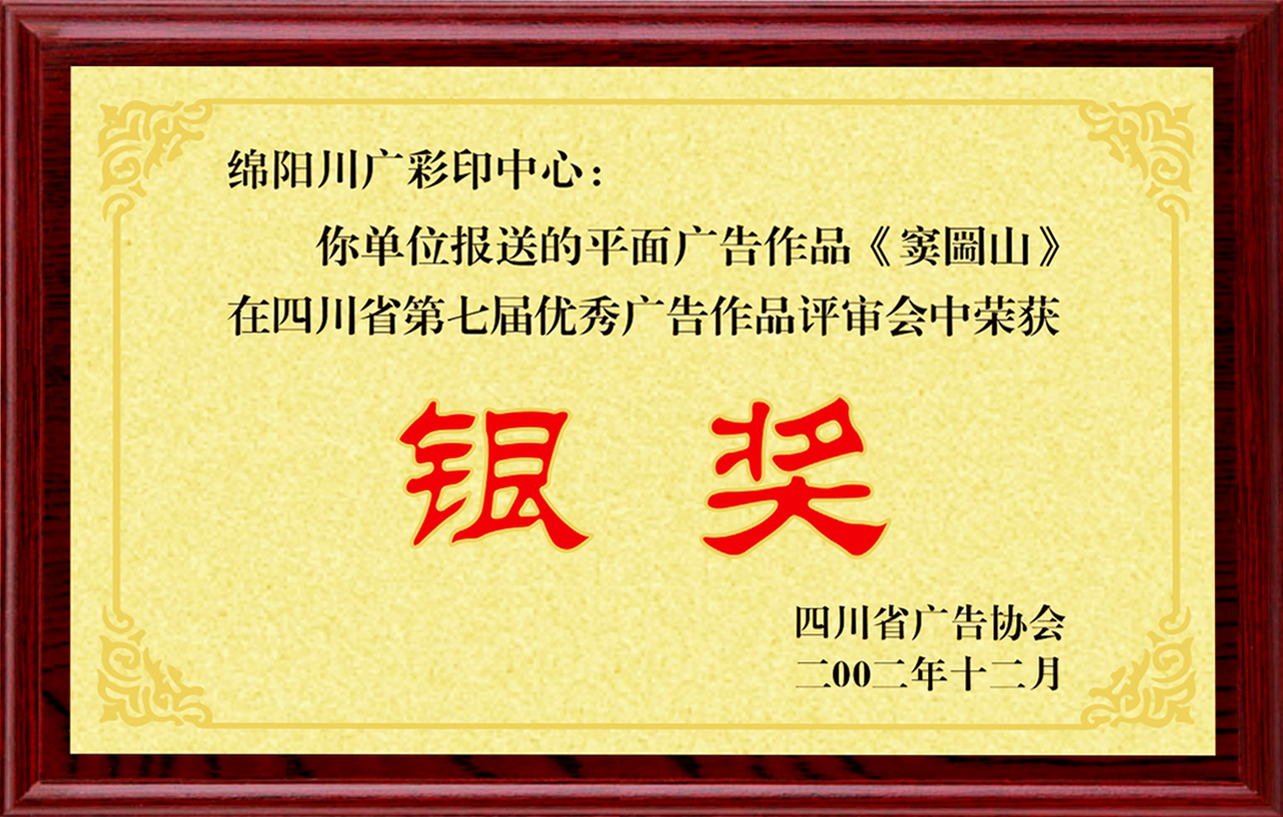 2002年四川省第七届优秀广告作品银奖